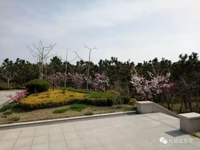 又是一年春来到，长城文华花苑邀您赏春洗肺(图4)