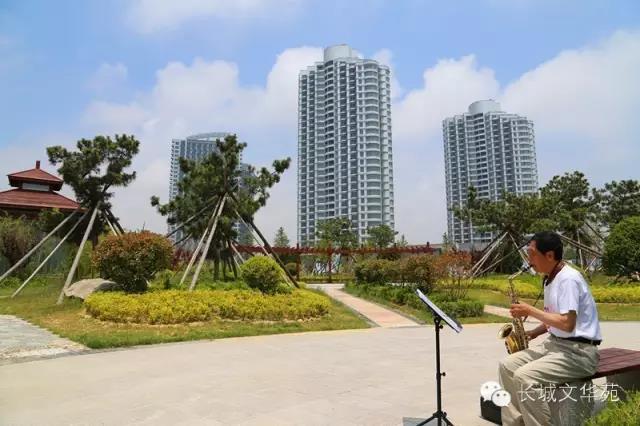 与其送她999朵玫瑰,不如带她来银滩来乳山一次!(图1)