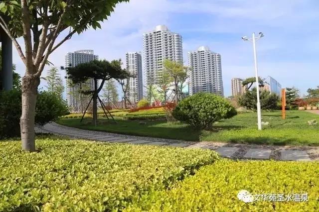 与其送她999朵玫瑰,不如带她来银滩来乳山一次!(图2)